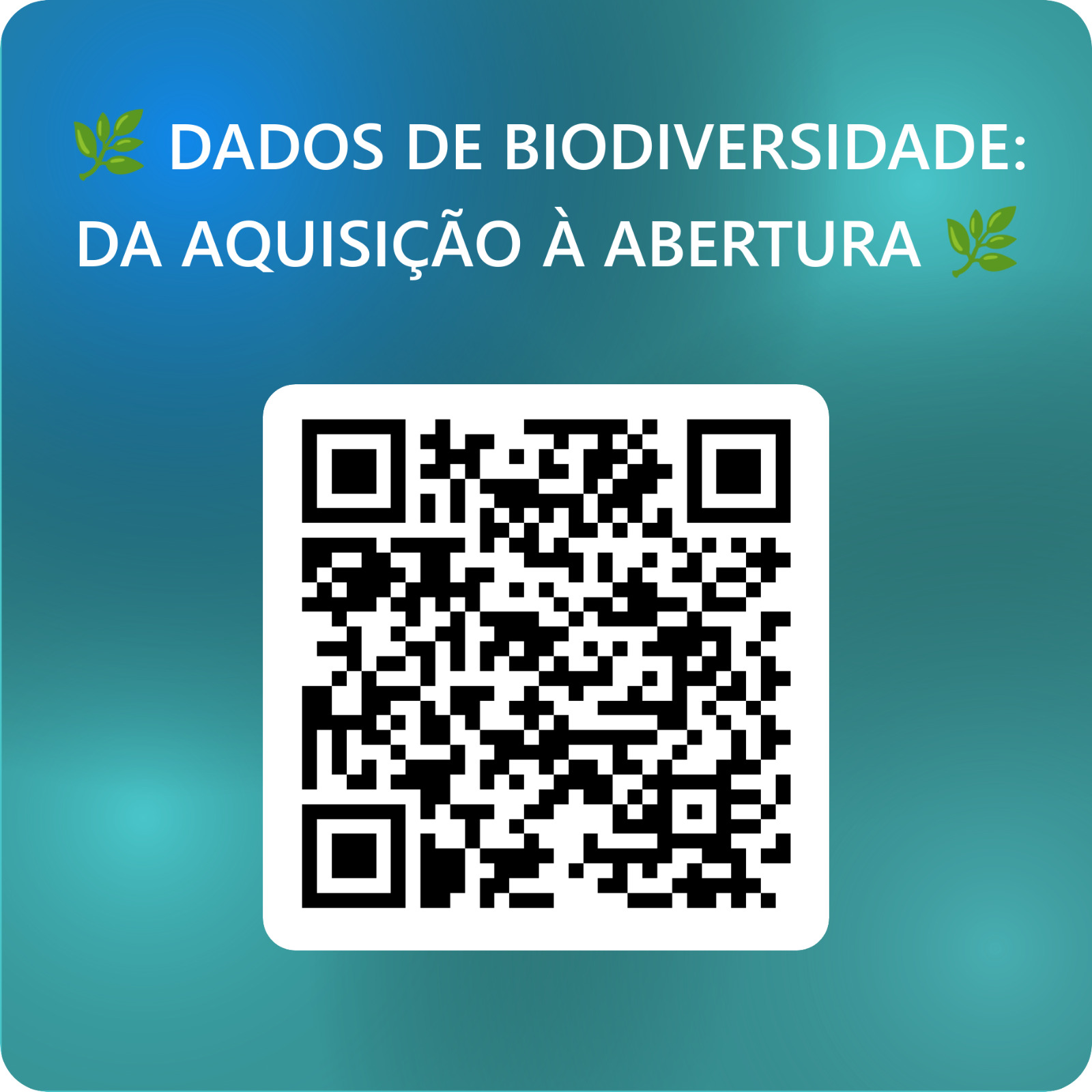 WhatsApp Image 2026 08 11 at 12.29.26 1